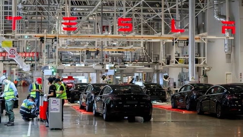 特斯拉上海超级工厂扩建零部件项目，赋能全球出口业务新篇章